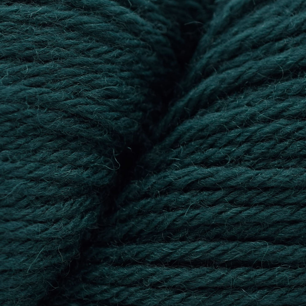 Cascade Yarns 220 -8893 - Hunter Green | Yarn at Michigan Fine Yarns
