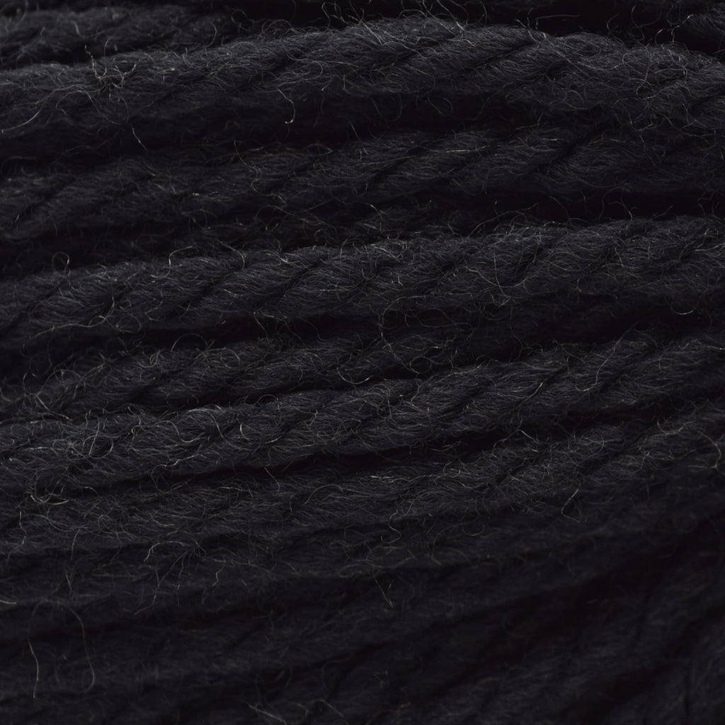 Cascade Yarns 220 Superwash Grande -815 - Black | Yarn at Michigan Fine Yarns