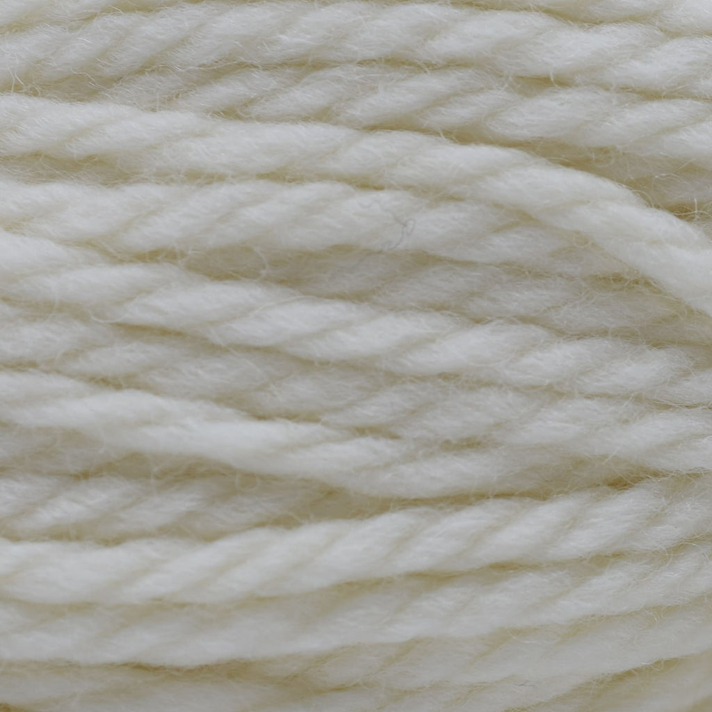 Cascade Yarns 220 Superwash Grande -817 - Ecru | Yarn at Michigan Fine Yarns