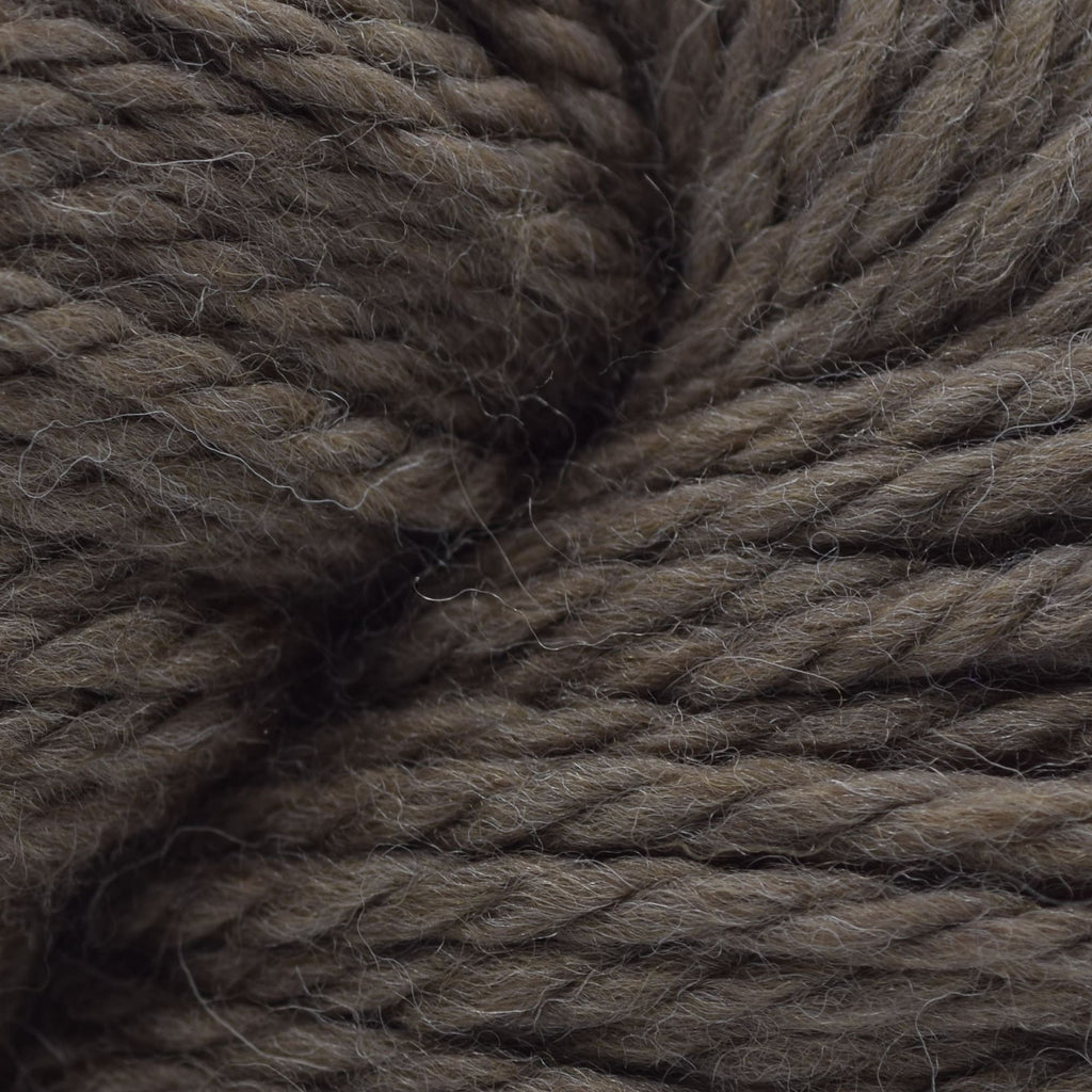 Cascade Yarns 220 Superwash Grande -862 - Walnut Heather | Yarn at Michigan Fine Yarns