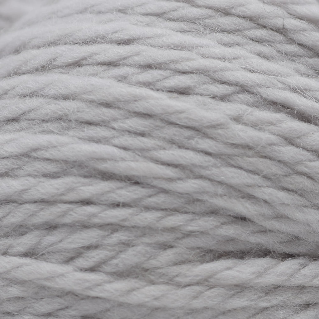 Cascade Yarns 220 Superwash Grande -875 - Feather Grey | Yarn at Michigan Fine Yarns