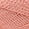 Cascade Yarns 220 Superwash Merino -101 - Desert Flower | Yarn at Michigan Fine Yarns