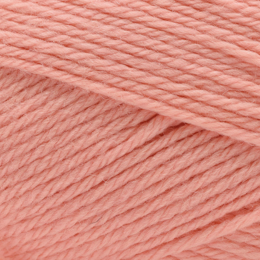 Cascade Yarns 220 Superwash Merino -101 - Desert Flower | Yarn at Michigan Fine Yarns