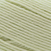 Cascade Yarns 220 Superwash Merino -56 - Seafoam Green | Yarn at Michigan Fine Yarns