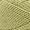 Cascade Yarns 220 Superwash Merino -57 - Sweet Pea | Yarn at Michigan Fine Yarns