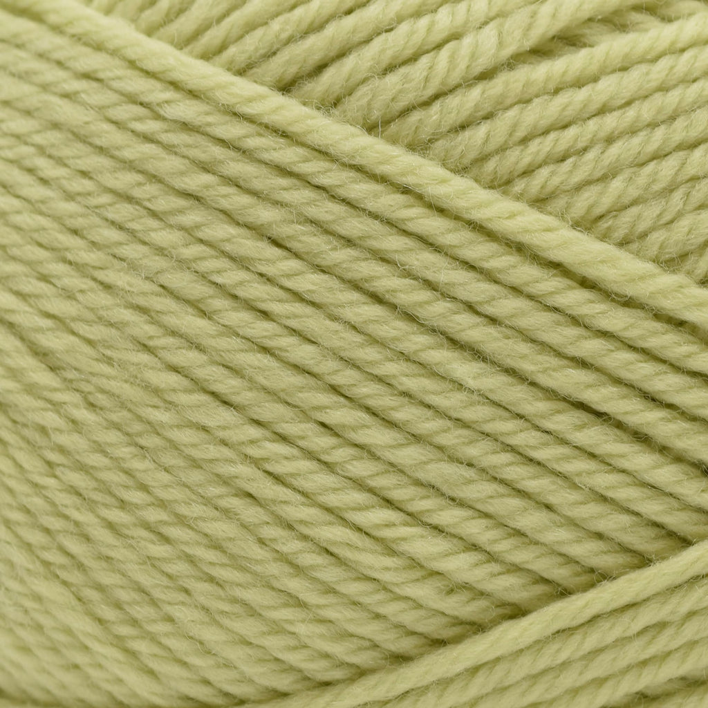 Cascade Yarns 220 Superwash Merino -57 - Sweet Pea | Yarn at Michigan Fine Yarns