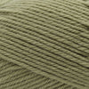 Cascade Yarns 220 Superwash Merino -58 - Iguana | Yarn at Michigan Fine Yarns