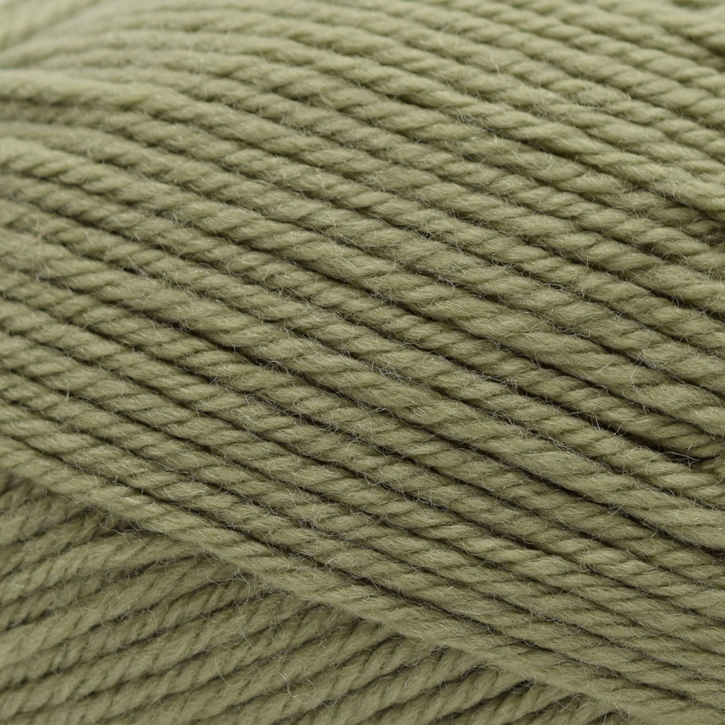 Cascade Yarns 220 Superwash Merino -58 - Iguana | Yarn at Michigan Fine Yarns