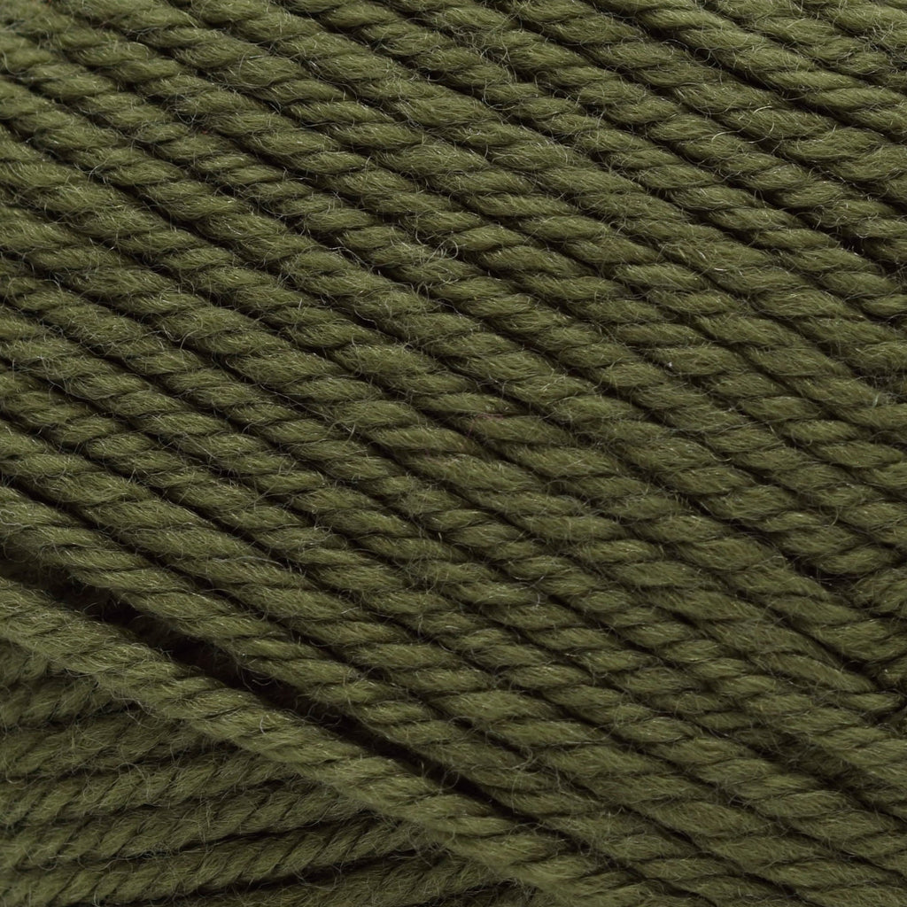 Cascade Yarns 220 Superwash Merino -59 - Chive 886904054017 | Yarn at Michigan Fine Yarns
