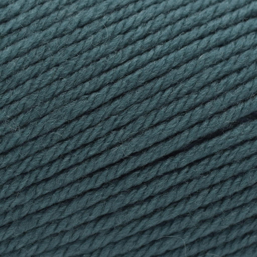 Cascade Yarns 220 Superwash Merino -87 - North Sea | Yarn at Michigan Fine Yarns