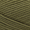 Cascade Yarns 220 Superwash Merino -92 - Martini Olive | Yarn at Michigan Fine Yarns