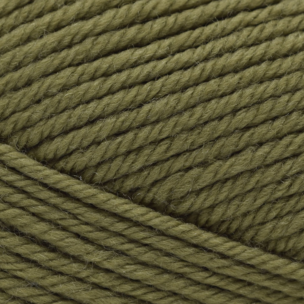 Cascade Yarns 220 Superwash Merino -92 - Martini Olive | Yarn at Michigan Fine Yarns