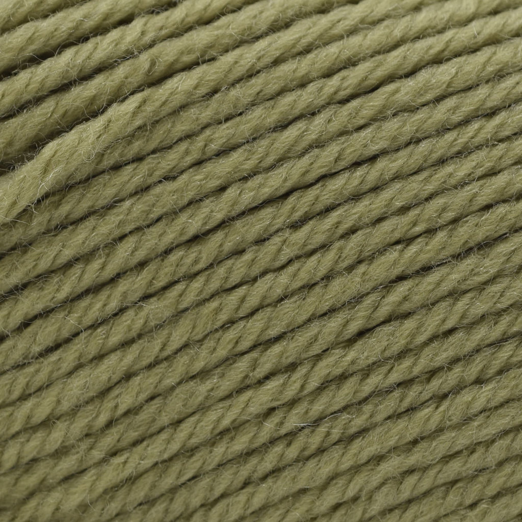 Cascade Yarns 220 Superwash Merino -93 - Dried Herb | Yarn at Michigan Fine Yarns