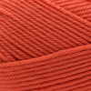 Cascade Yarns 220 Superwash Merino -97 - Paprika 886904062869 | Yarn at Michigan Fine Yarns