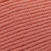 Cascade Yarns 220 Superwash Merino -98 - Camelia | Yarn at Michigan Fine Yarns