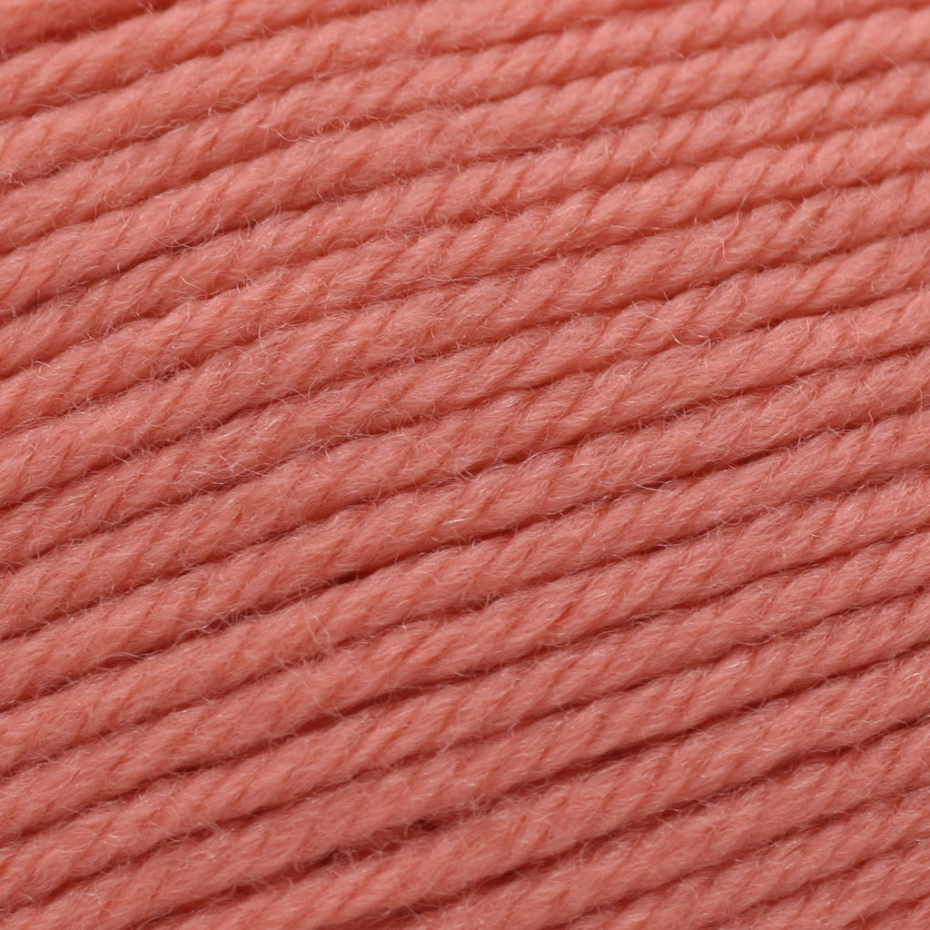 Cascade Yarns 220 Superwash Merino -98 - Camelia | Yarn at Michigan Fine Yarns