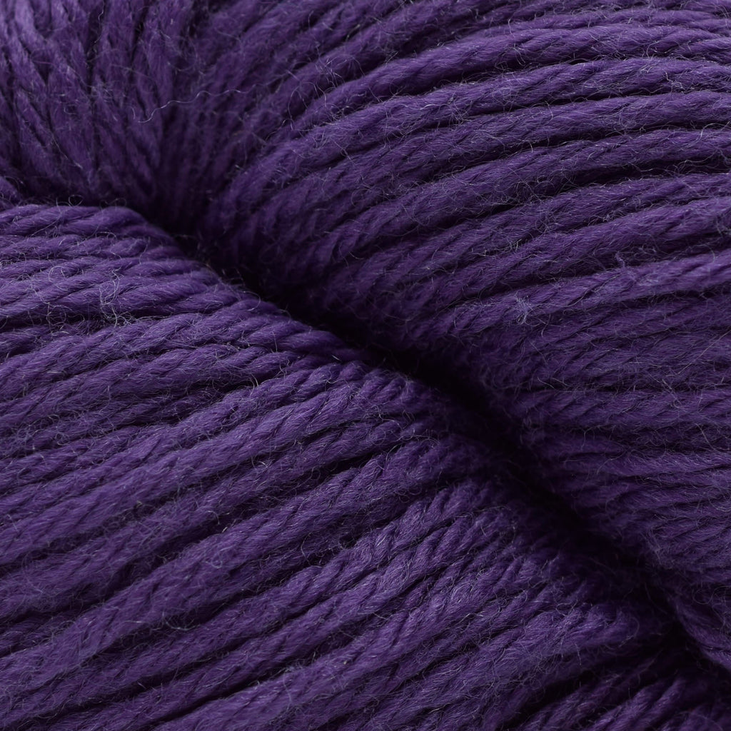 Cascade Yarns 220 Superwash Sport -505 - Acai 886904068359 | Yarn at Michigan Fine Yarns
