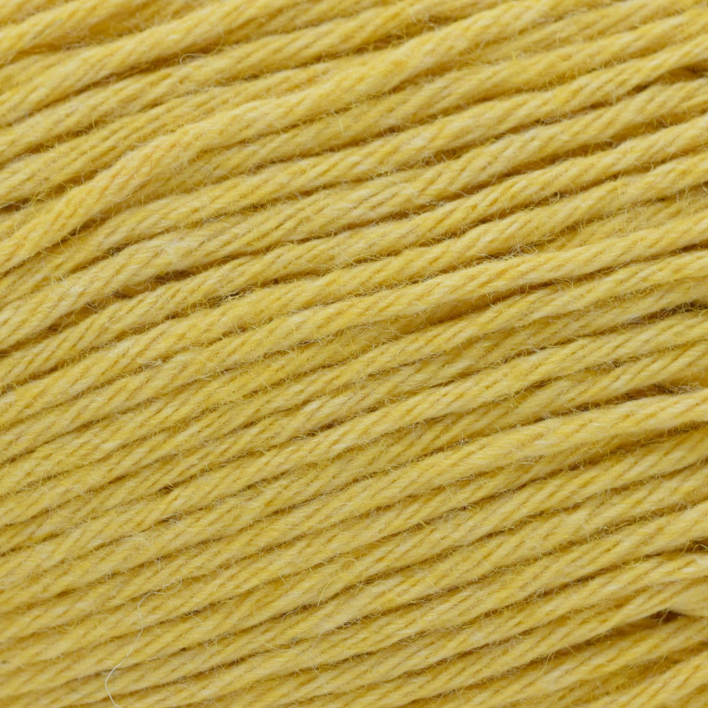 Cascade Yarns Anchor Bay -24 - Daffodil 886904047378 | Yarn at Michigan Fine Yarns