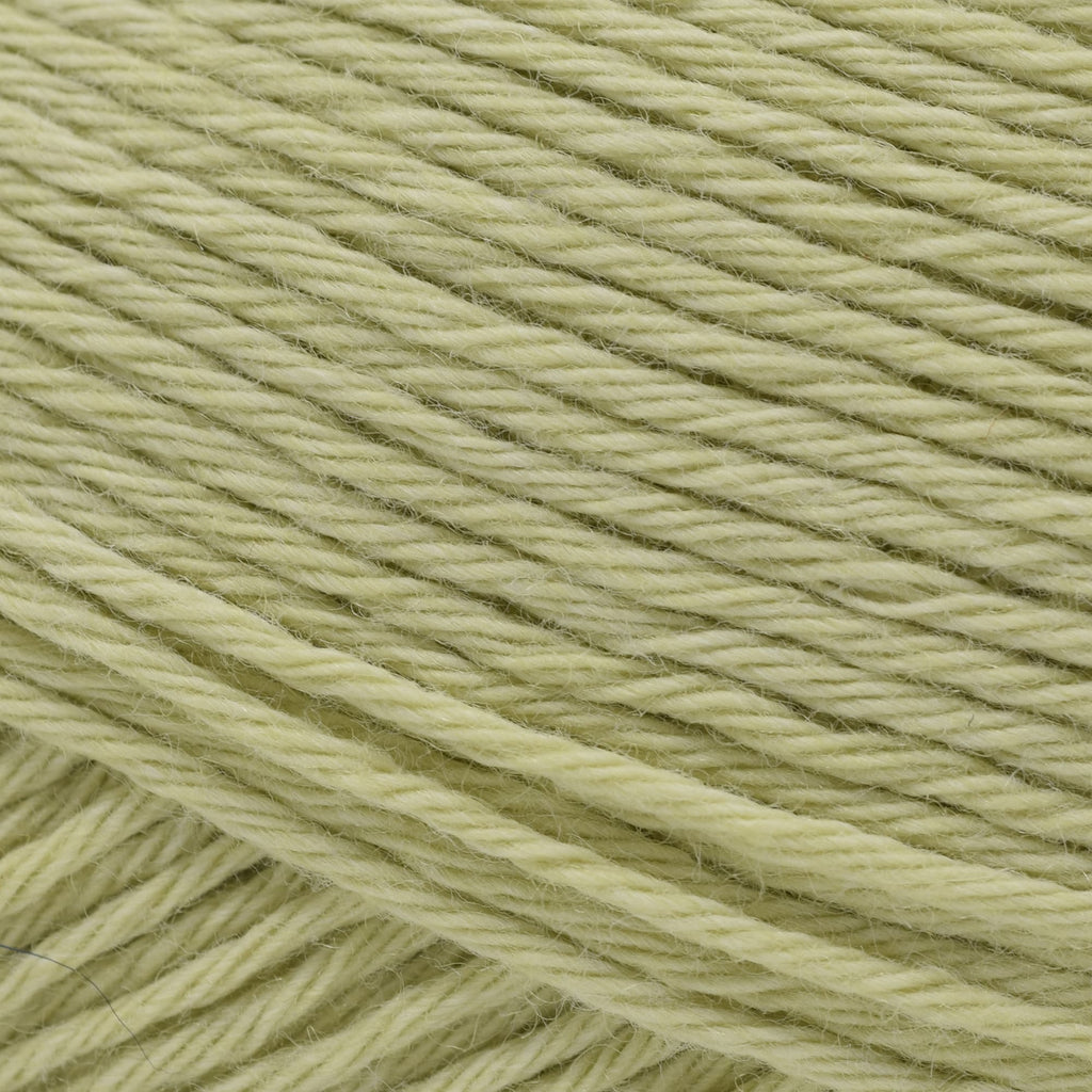 Cascade Yarns Anchor Bay -46 - Celery Green | Yarn at Michigan Fine Yarns