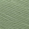 Cascade Yarns Pacific Sport -16 - Spring Green | Yarn at Michigan Fine Yarns