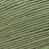 Cascade Yarns Sarasota -202 - Jade Green 886904058428 | Yarn at Michigan Fine Yarns