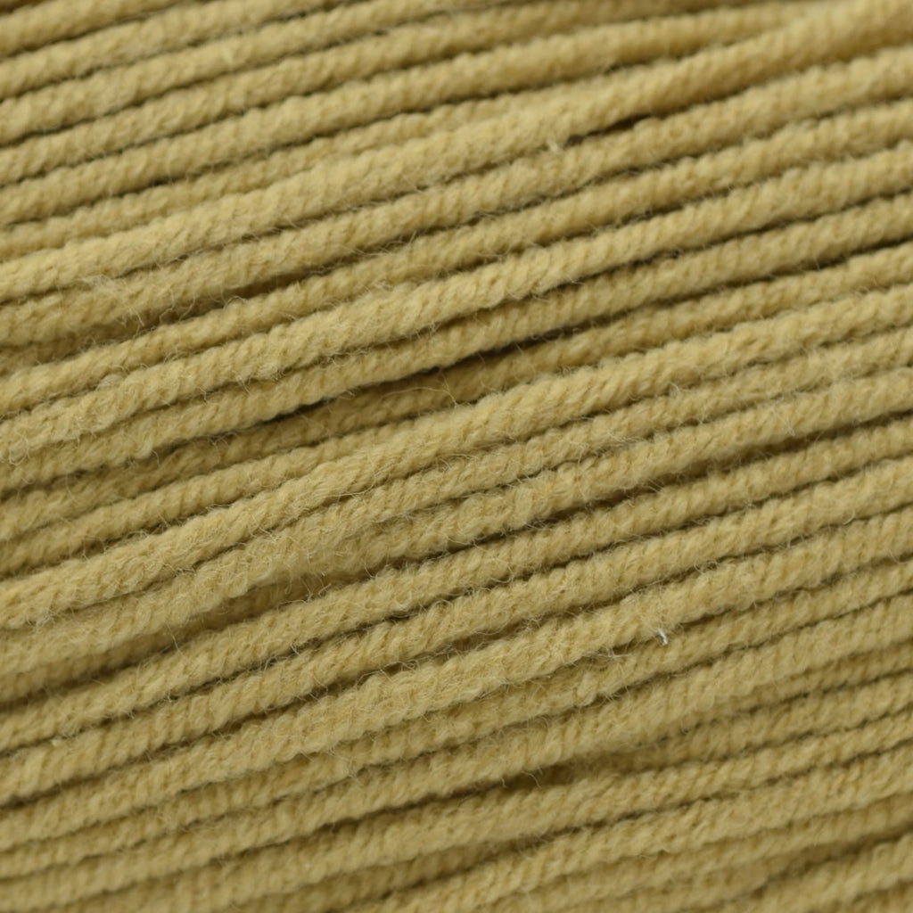 Cascade Yarns Sarasota -207 - Pale Gold | Yarn at Michigan Fine Yarns