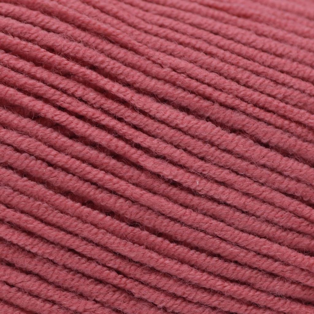 Cascade Yarns Sarasota -227 - Coral Rose | Yarn at Michigan Fine Yarns