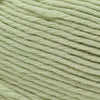 Cascade Yarns Sarasota Worsted -201 - Baby Lime 886904070666 | Yarn at Michigan Fine Yarns