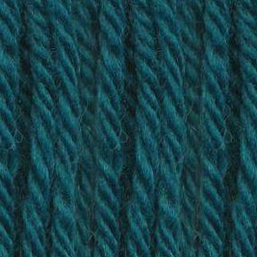 Ella Rae Chunky Merino Superwash | Michigan Fine Yarns 16 - Show Stopper