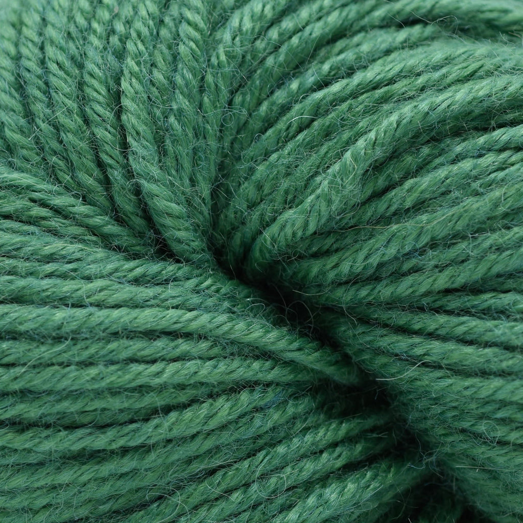 Ella Rae Cozy Alpaca -61 - Parsley | Yarn at Michigan Fine Yarns