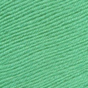 Ella Rae Cozy Soft -841275118331 | Yarn at Michigan Fine Yarns