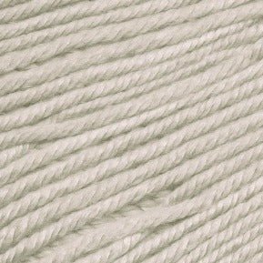 Ella Rae Cozy Soft -841275130258 | Yarn at Michigan Fine Yarns