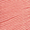 Ella Rae Cozy Soft -841275130289 | Yarn at Michigan Fine Yarns