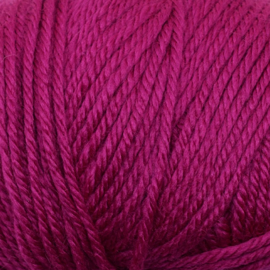 Ella Rae Cozy Soft -841275143531 | Yarn at Michigan Fine Yarns