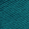 Ella Rae Cozy Soft -841275143562 | Yarn at Michigan Fine Yarns