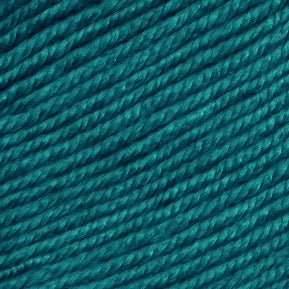 Ella Rae Cozy Soft -841275143562 | Yarn at Michigan Fine Yarns