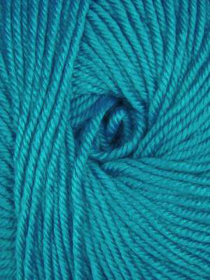 Ella Rae Cozy Soft -843189072167 | Yarn at Michigan Fine Yarns
