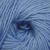 Ella Rae Cozy Soft -843189072259 | Yarn at Michigan Fine Yarns