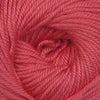 Ella Rae Cozy Soft -843189072310 | Yarn at Michigan Fine Yarns