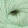 Ella Rae Cozy Soft -843189072334 | Yarn at Michigan Fine Yarns