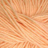 Ella Rae Cozy Soft -843189072365 | Yarn at Michigan Fine Yarns