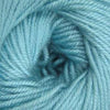 Ella Rae Cozy Soft -843189072396 | Yarn at Michigan Fine Yarns