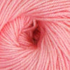 Ella Rae Cozy Soft -843189072402 | Yarn at Michigan Fine Yarns