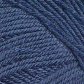 Ella Rae Cozy Soft -843189072402 | Yarn at Michigan Fine Yarns