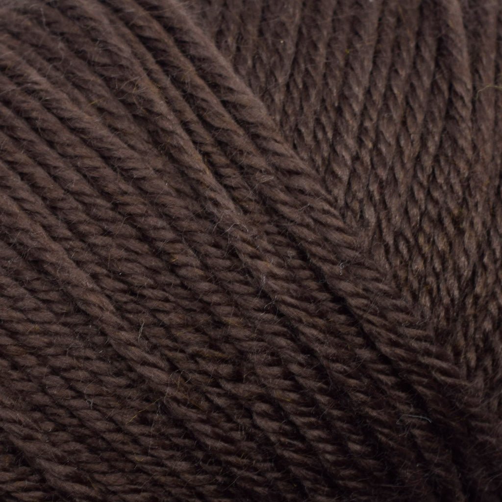 Ella Rae Cozy Soft -843189091311 | Yarn at Michigan Fine Yarns