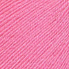 Ella Rae Cozy Soft -843189091335 | Yarn at Michigan Fine Yarns