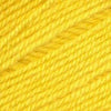 Ella Rae Cozy Soft -843189091366 | Yarn at Michigan Fine Yarns