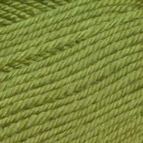 Ella Rae Cozy Soft -843189091380 | Yarn at Michigan Fine Yarns