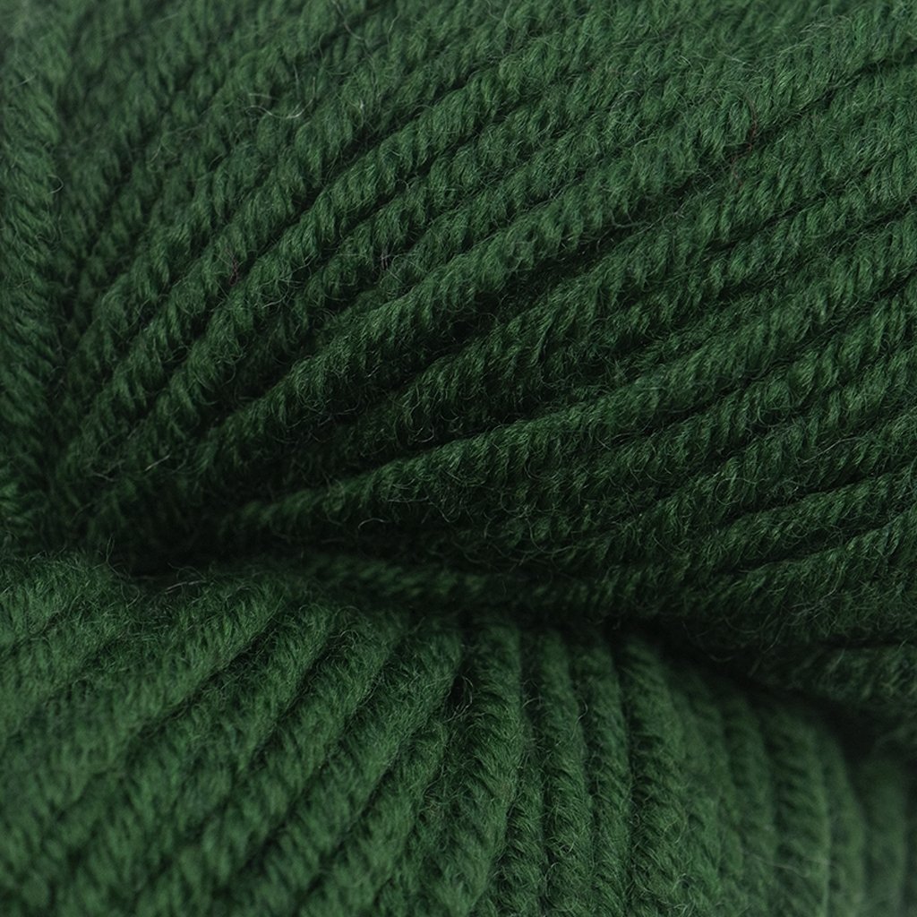 HiKoo Simpliworsted -050 - Forestry 841286100394 | Yarn at Michigan Fine Yarns