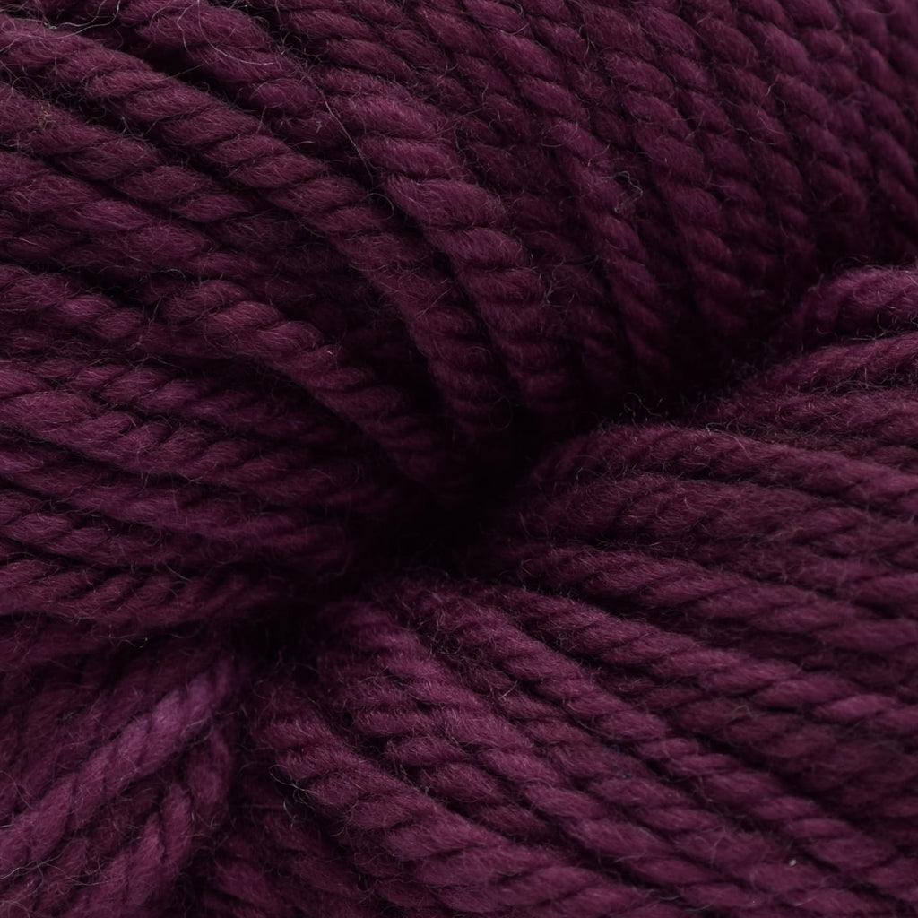 Koigu Chelsea Merino -2293 | Yarn at Michigan Fine Yarns